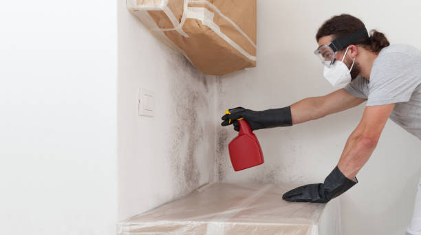 Professional Mold Testing technician working in Levittown, PA