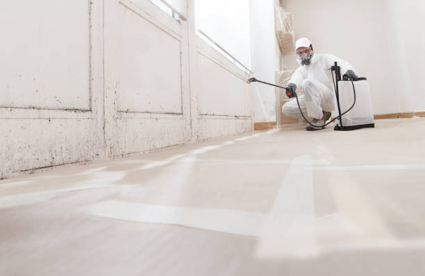 24/7 Emergency Mold Testing experts in Levittown, PA